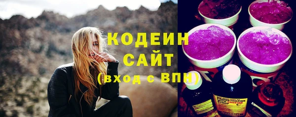гашик Ладушкин