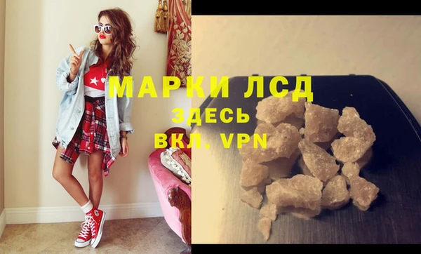 гашик Ладушкин