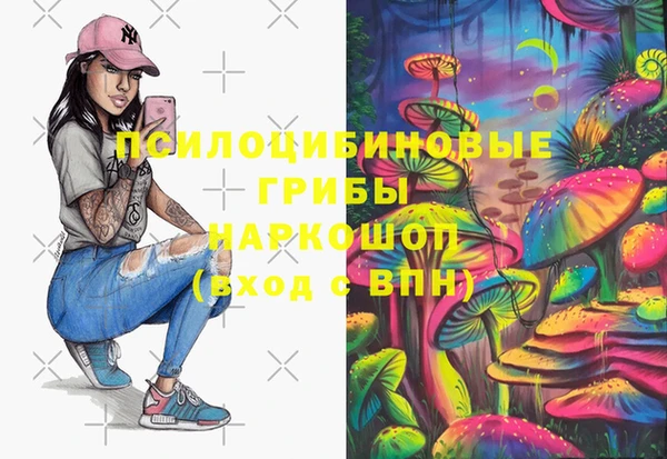 гашик Ладушкин