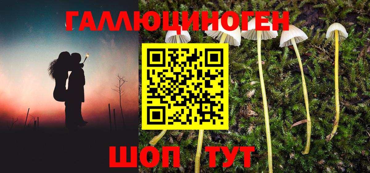 Псилоцибиновые грибы мицелий  Галлюциногенные грибы GOLDEN TEACHER  Вход с VPN  Ржев 