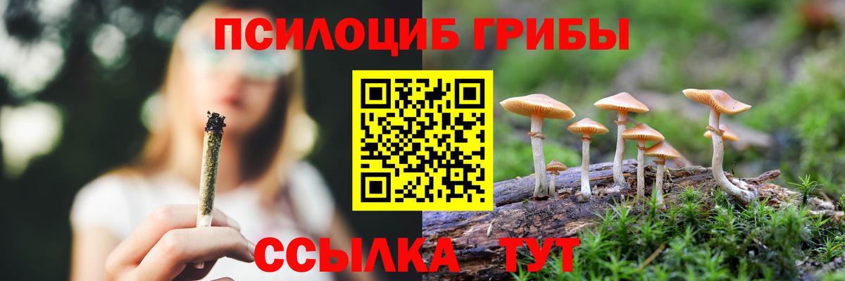 Псилоцибиновые грибы Magic Shrooms Ржев